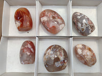 Polished Flower Agate Standing Free Forms x 6 From Antsahalova, Madagascar - Toprock Gemstones and Minerals 