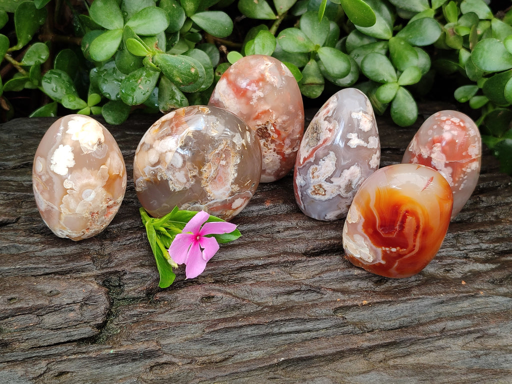 Polished Flower Agate Standing Free Forms x 6 From Antsahalova, Madagascar - Toprock Gemstones and Minerals 