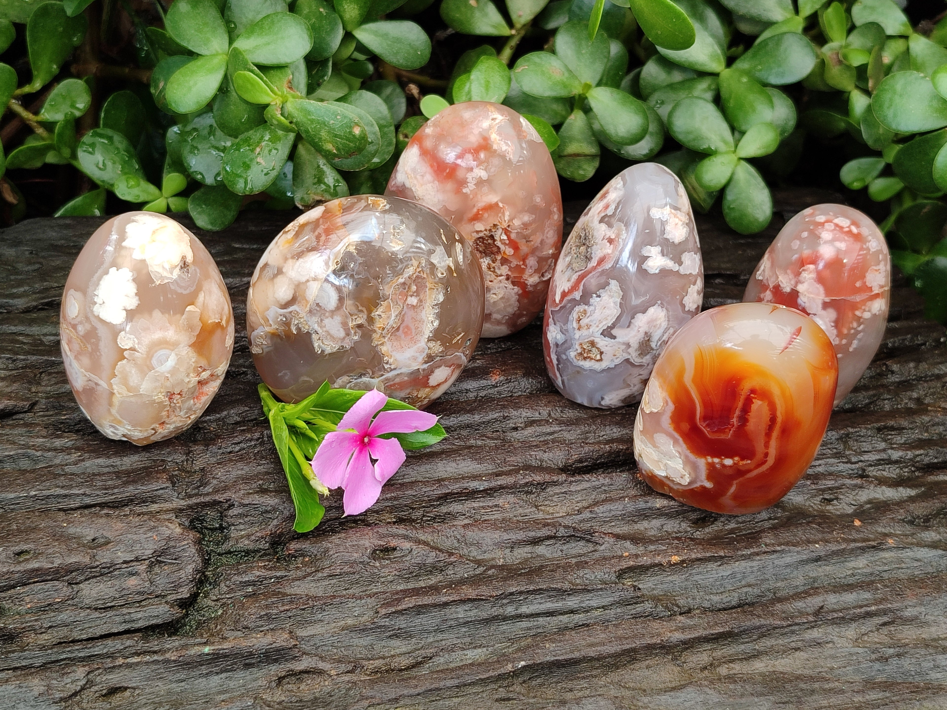 Polished Flower Agate Standing Free Forms x 6 From Antsahalova, Madagascar - Toprock Gemstones and Minerals 