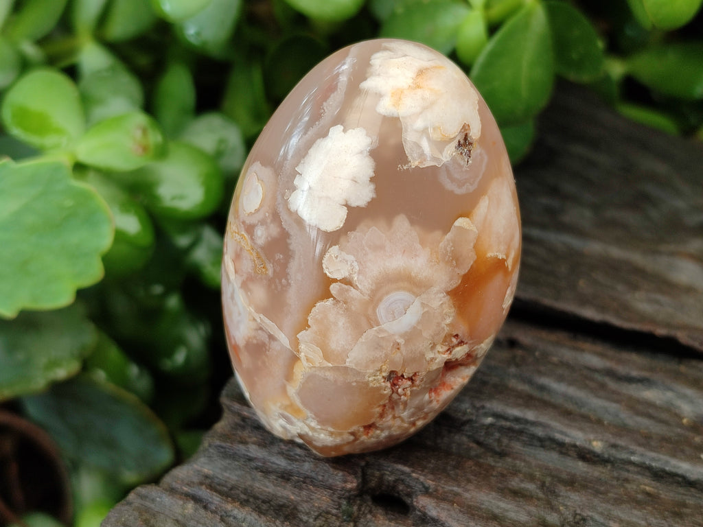 Polished Flower Agate Standing Free Forms x 6 From Antsahalova, Madagascar - Toprock Gemstones and Minerals 