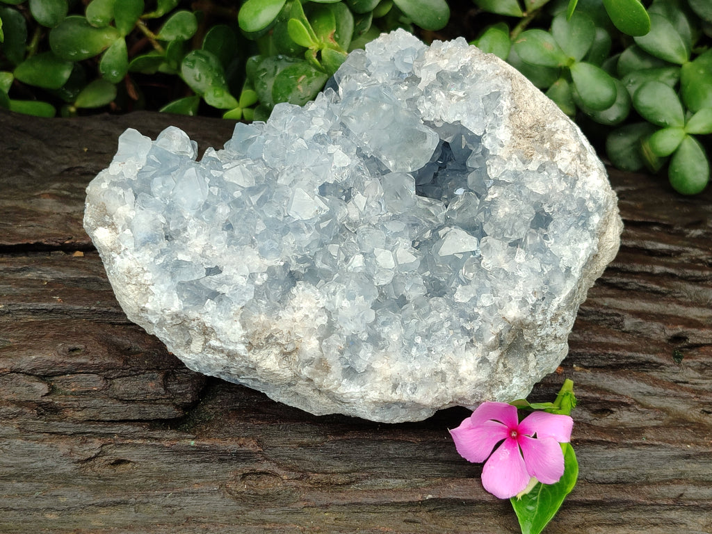 Natural Celestite Geode Specimen x 1 From Sakoany, Madagascar - Toprock Gemstones and Minerals 