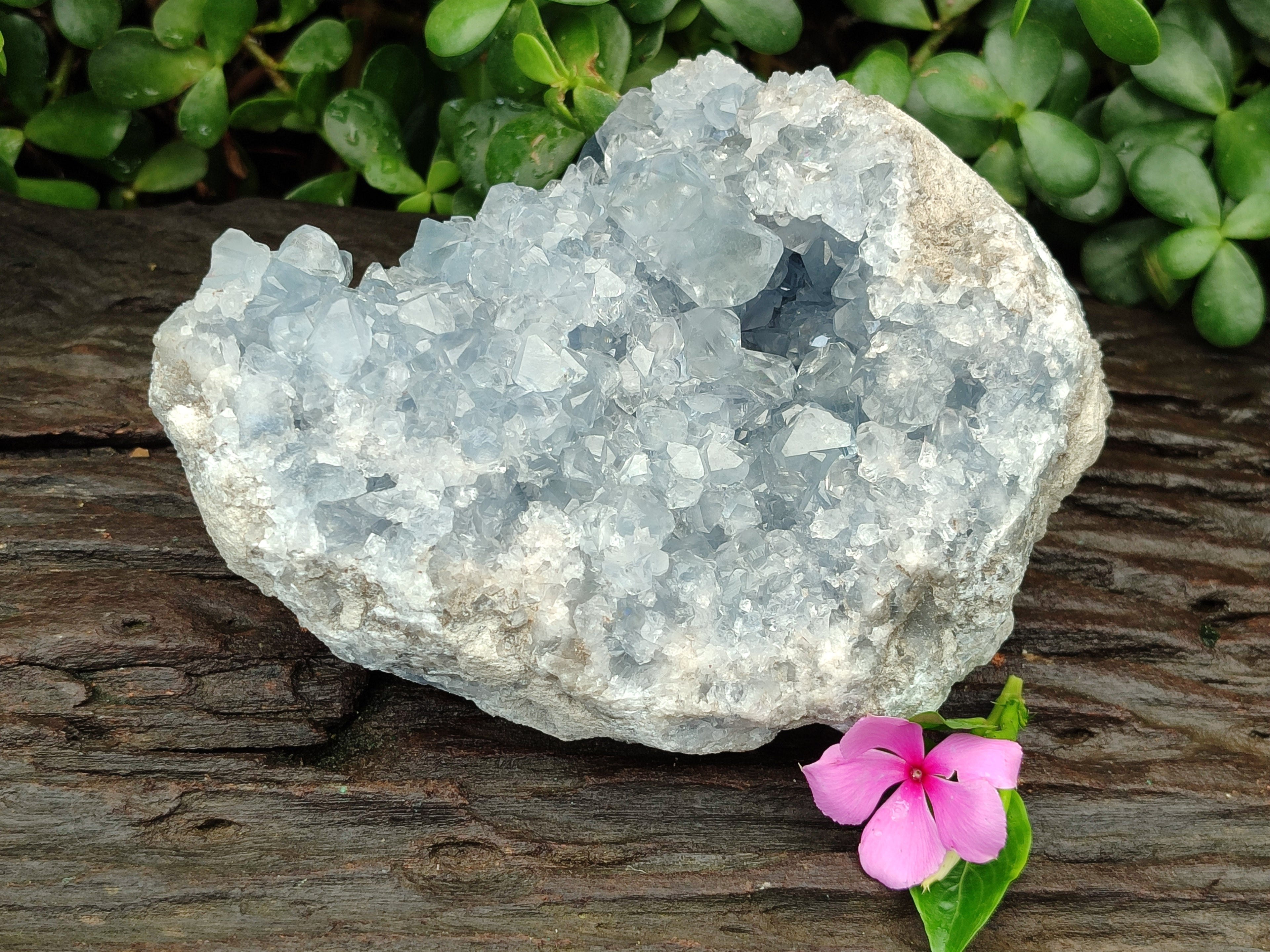 Natural Celestite Geode Specimen x 1 From Sakoany, Madagascar - Toprock Gemstones and Minerals 