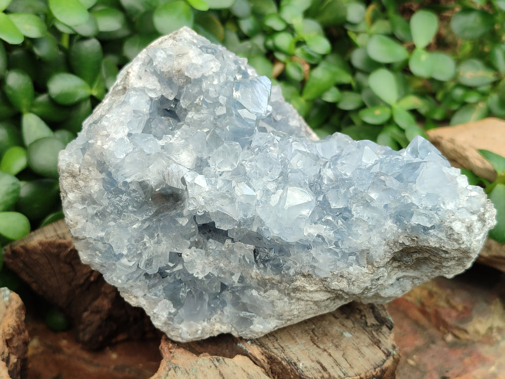Natural Celestite Geode Specimen x 1 From Sakoany, Madagascar - Toprock Gemstones and Minerals 