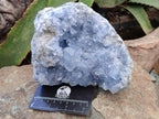 Natural Celestite Geode Specimen x 1 From Sakoany, Madagascar - Toprock Gemstones and Minerals 