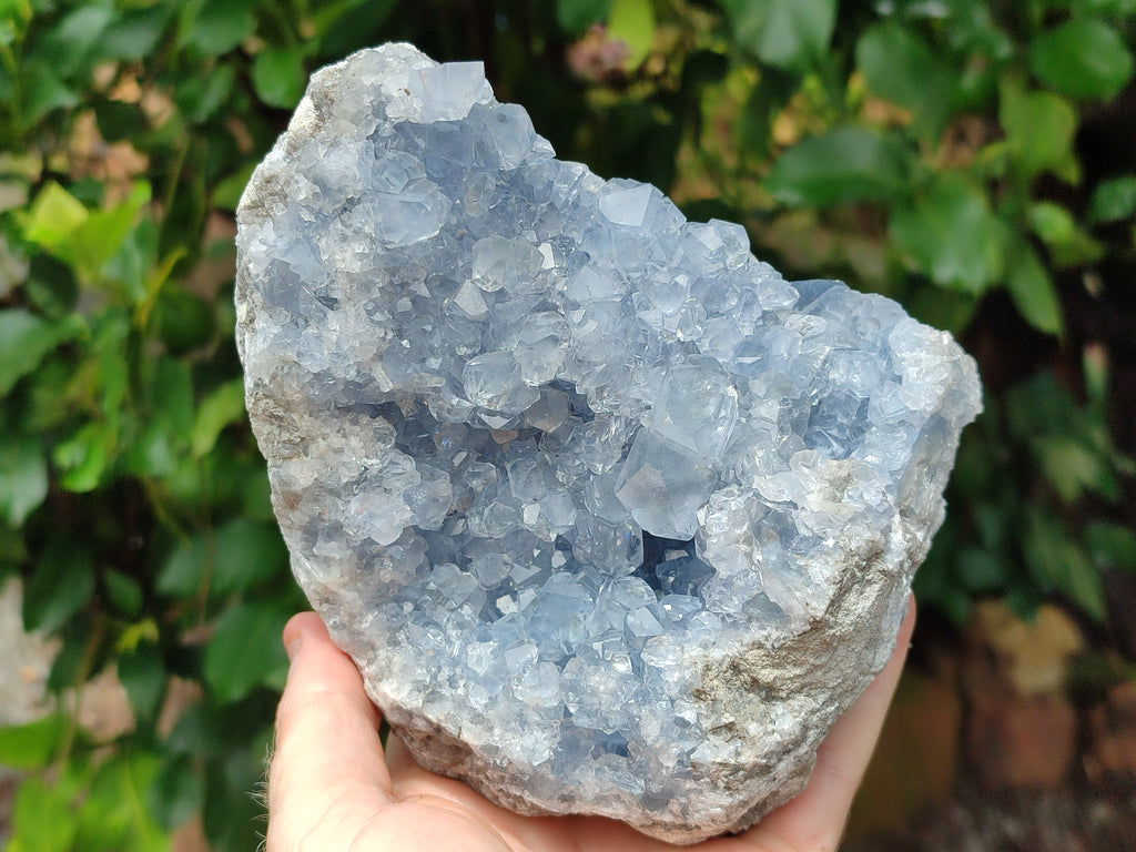 Natural Celestite Geode Specimen x 1 From Sakoany, Madagascar - Toprock Gemstones and Minerals 