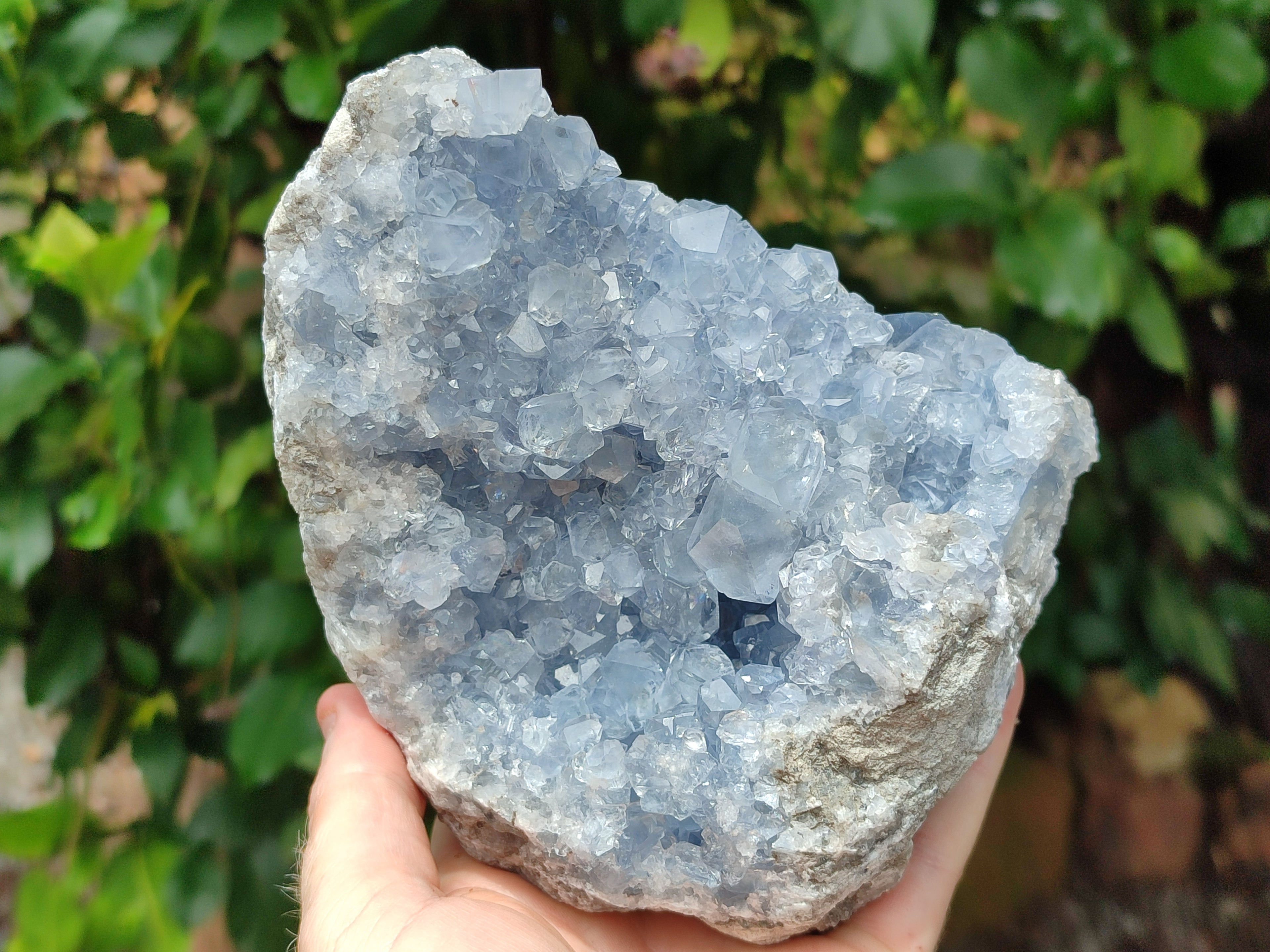 Natural Celestite Geode Specimen x 1 From Sakoany, Madagascar - Toprock Gemstones and Minerals 