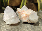 Natural Cactus Flower Spirit Quartz Clusters x 12 From South Africa - Toprock Gemstones and Minerals 