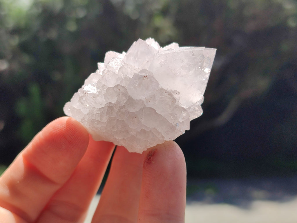 Natural Cactus Flower Spirit Quartz Clusters x 12 From South Africa - Toprock Gemstones and Minerals 