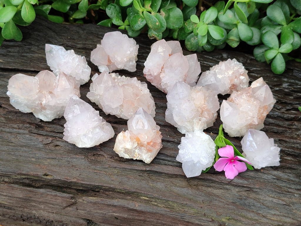 Natural Cactus Flower Spirit Quartz Clusters x 12 From South Africa - Toprock Gemstones and Minerals 