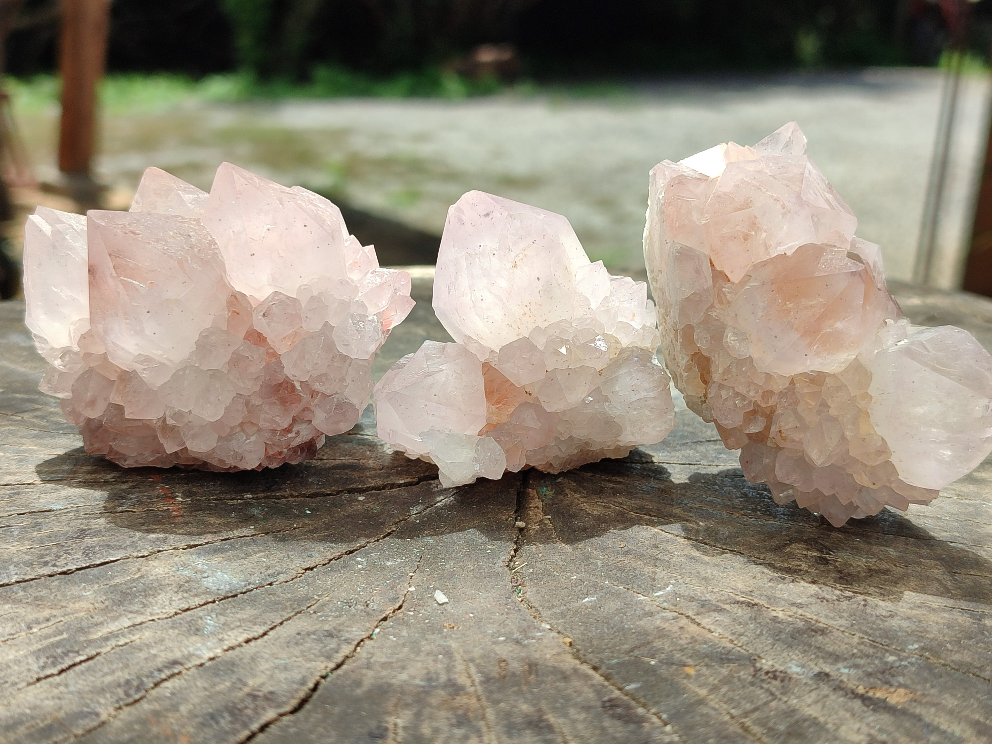 Natural Cactus Flower Spirit Quartz Clusters x 12 From South Africa - Toprock Gemstones and Minerals 