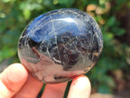 Polished Black Tourmaline Palm Stones x 12 From Madagascar - Toprock Gemstones and Minerals 