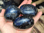 Polished Black Tourmaline Palm Stones x 12 From Madagascar - Toprock Gemstones and Minerals 