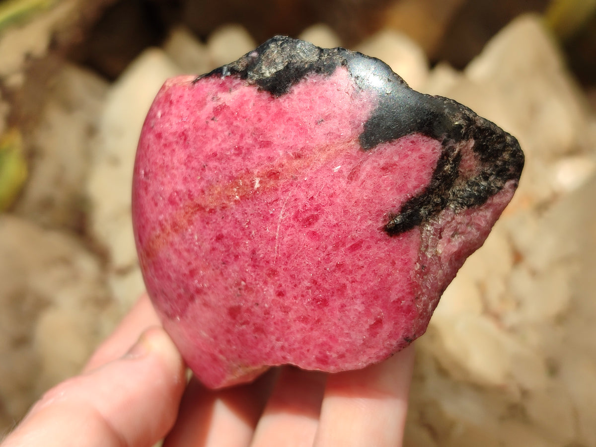 Polished Assortment Of Retail Items x 6 From Southern Africa - Toprock Gemstones and Minerals 