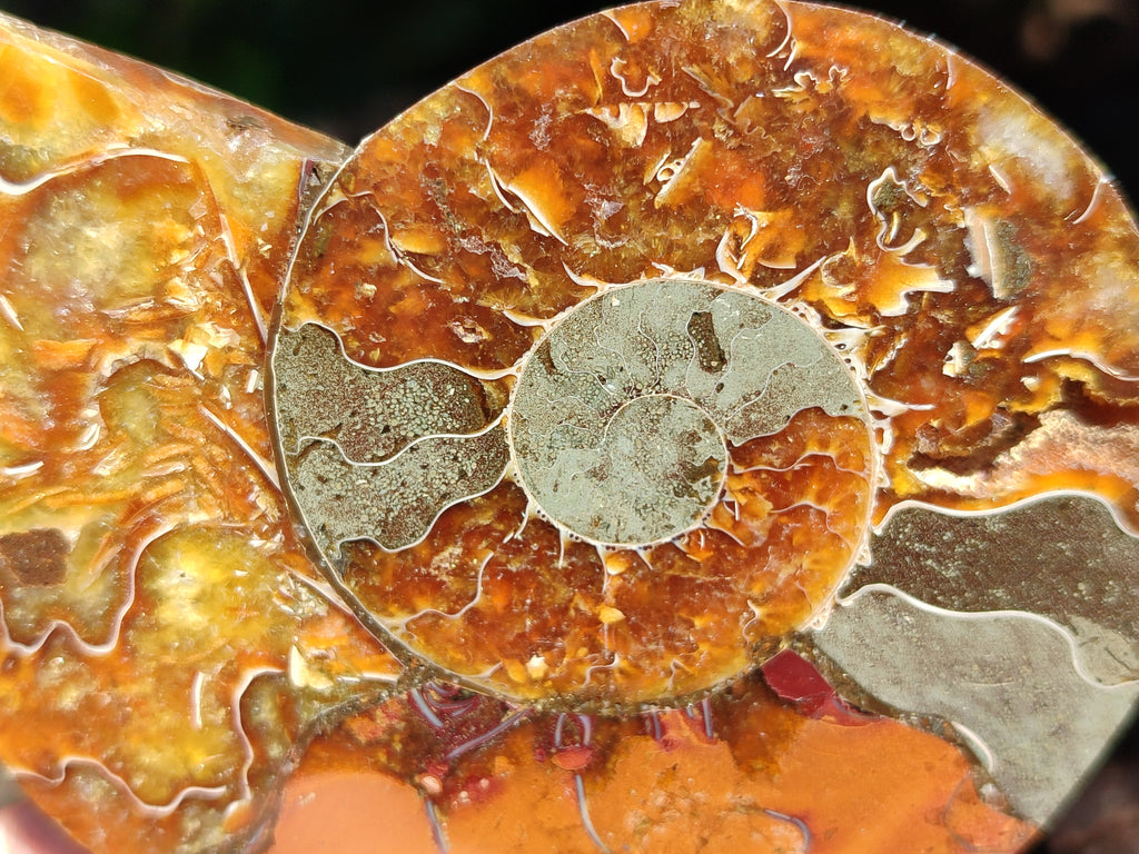 Polished Assortment Of Retail Items x 6 From Southern Africa - Toprock Gemstones and Minerals 