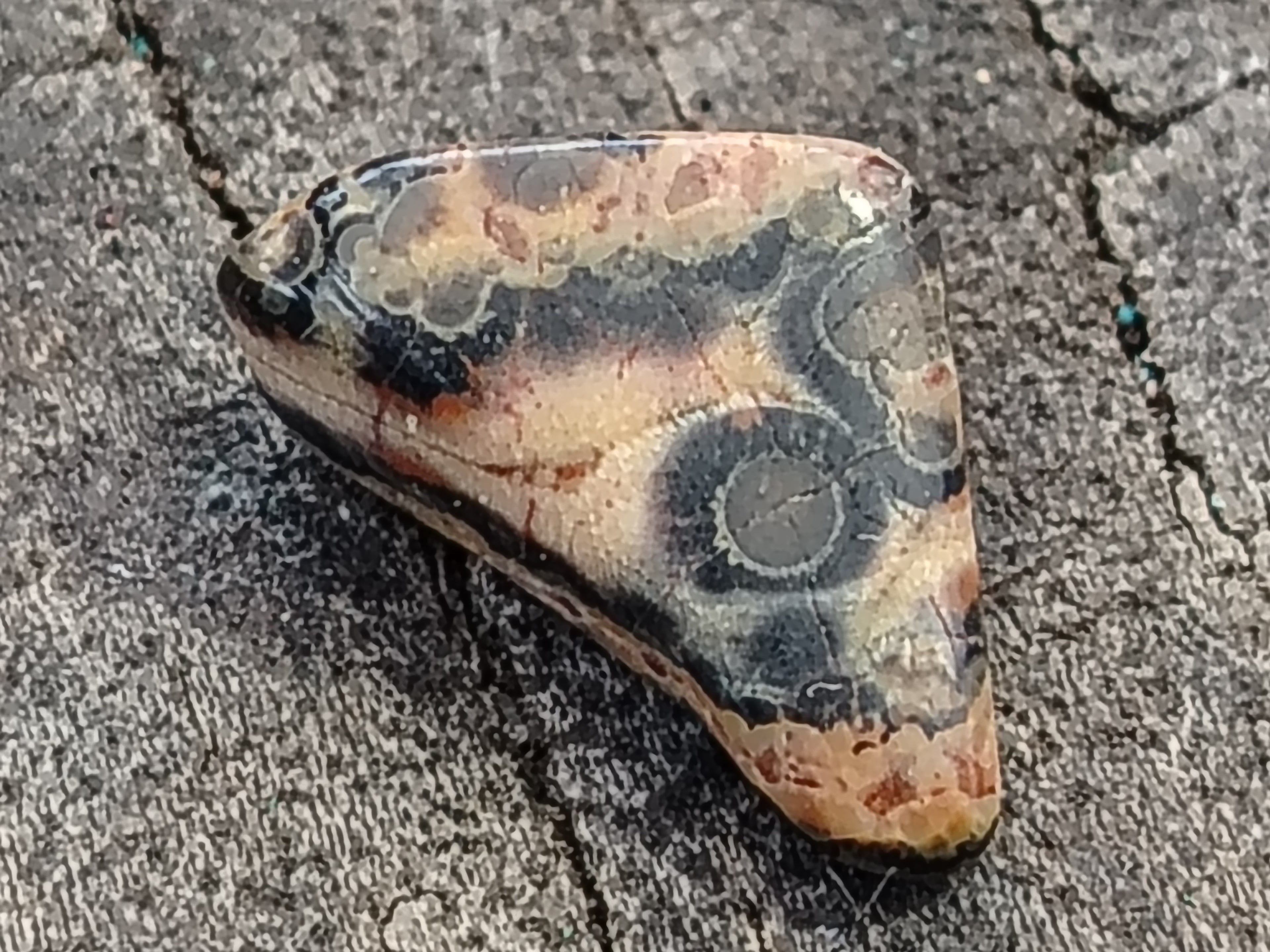 Polished Assortment Of Tumbled Stones - sold per kg - From Southern Africa - Toprock Gemstones and Minerals 