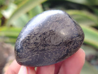 Polished Pharaoh Stone Palm Stones x 12 From Zimbabwe - Toprock Gemstones and Minerals 