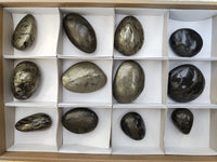 Polished Pharaoh Stone Palm Stones x 12 From Zimbabwe - Toprock Gemstones and Minerals 