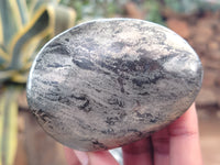 Polished Pharaoh Stone Palm Stones x 12 From Zimbabwe - Toprock Gemstones and Minerals 