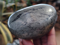 Polished Pharaoh Stone Palm Stones x 12 From Zimbabwe - Toprock Gemstones and Minerals 