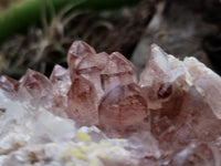 Natural Red Hematoid Quartz Clusters x 2 From Karoi, Zimbabwe - Toprock Gemstones and Minerals 