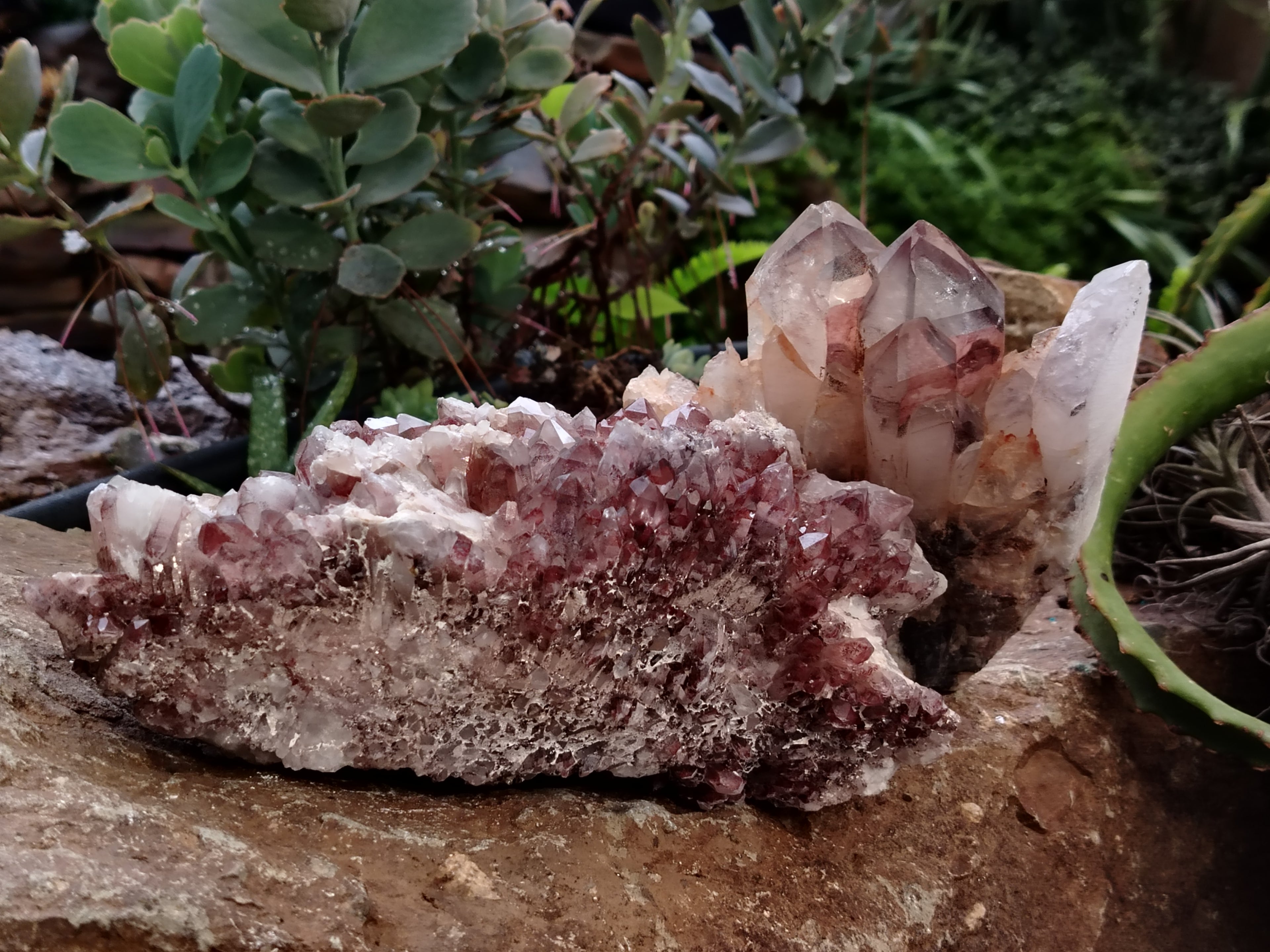 Natural Red Hematoid Quartz Clusters x 2 From Karoi, Zimbabwe - Toprock Gemstones and Minerals 