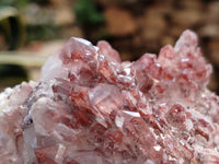Natural Red Hematoid Quartz Clusters x 2 From Karoi, Zimbabwe - Toprock Gemstones and Minerals 