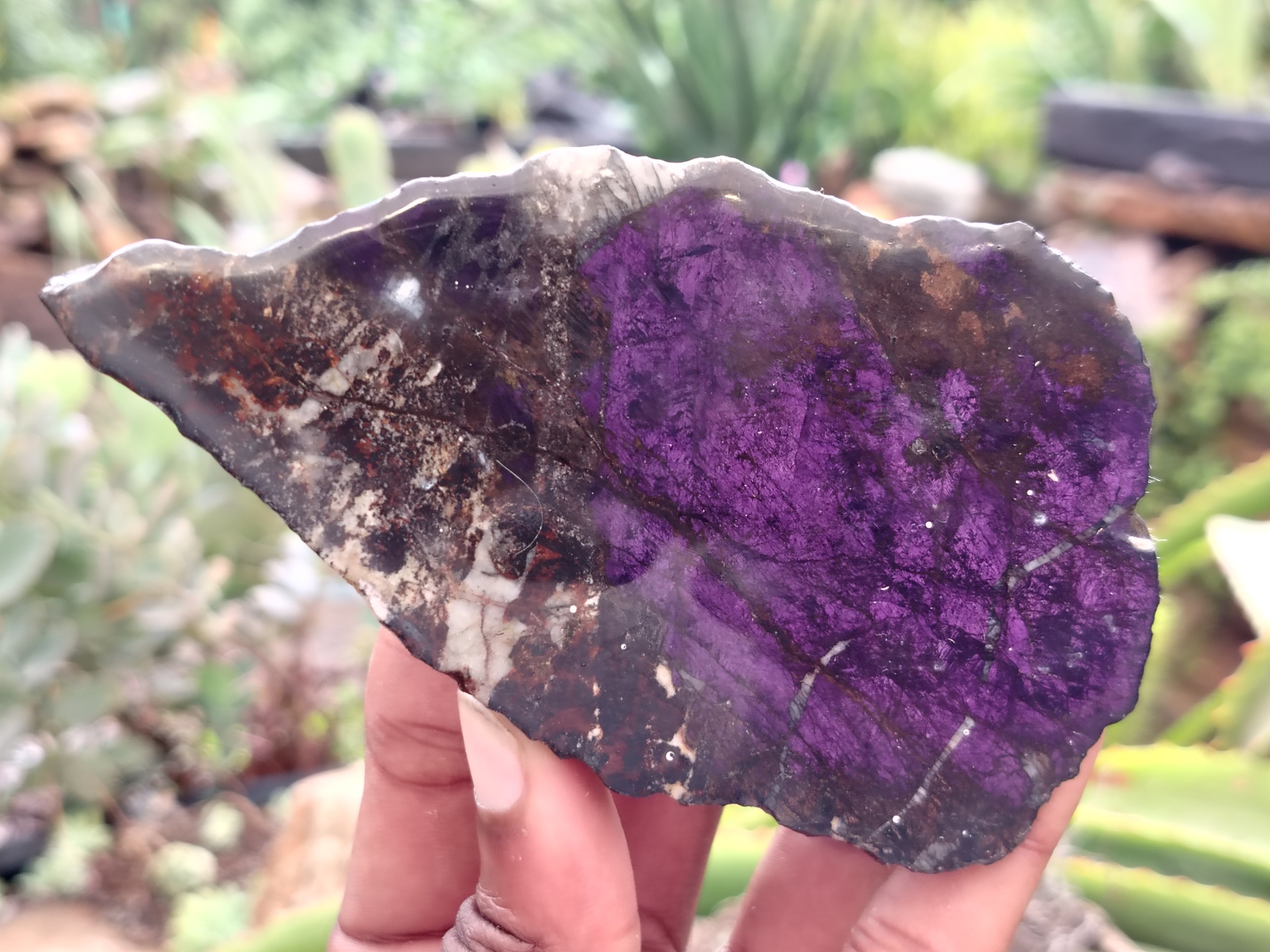 Polished On One Side Purpurite Specimens x 6 From Namibia - Toprock Gemstones and Minerals 