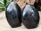 Polished Black Basalt Standing Free Forms x 2 From Antsirabe, Madagascar - Toprock Gemstones and Minerals 