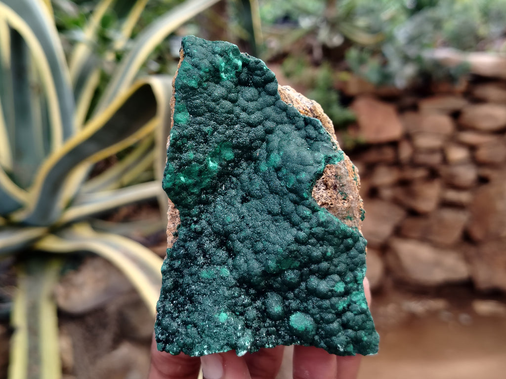 Natural Botryoidal Malachite Specimens x 6 From Congo - Toprock Gemstones and Minerals 