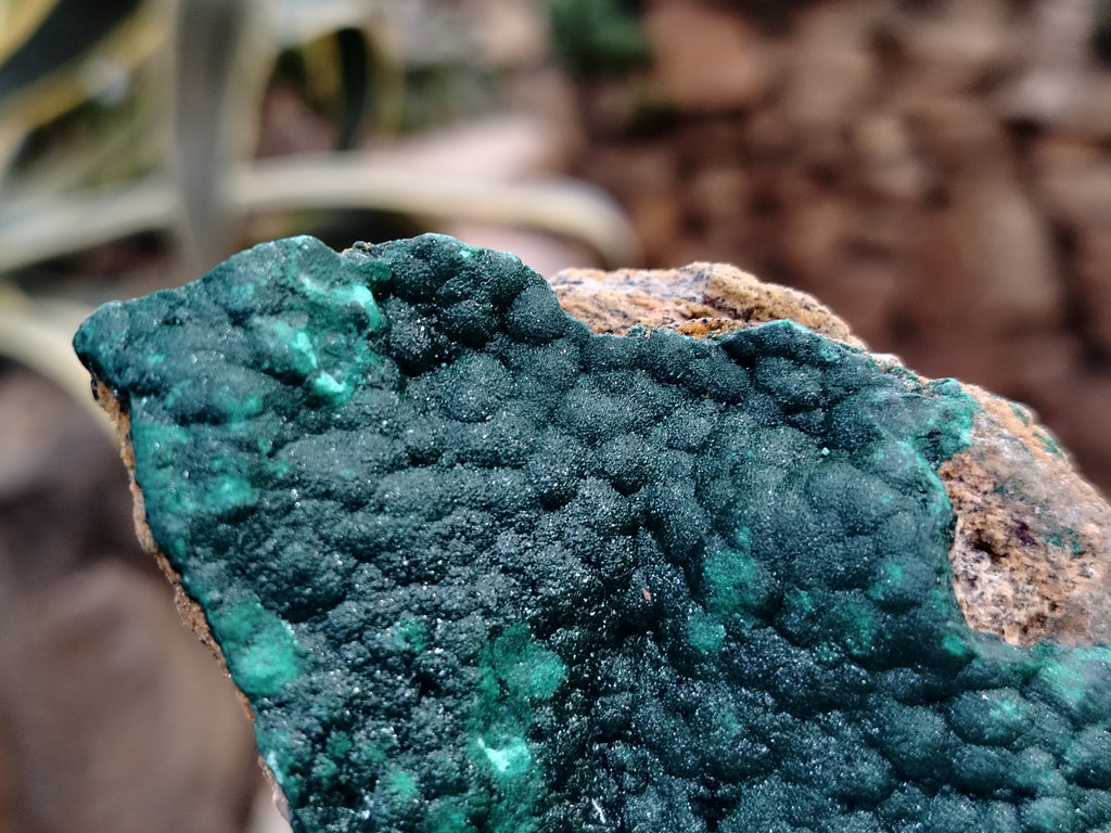 Natural Botryoidal Malachite Specimens x 6 From Congo - Toprock Gemstones and Minerals 