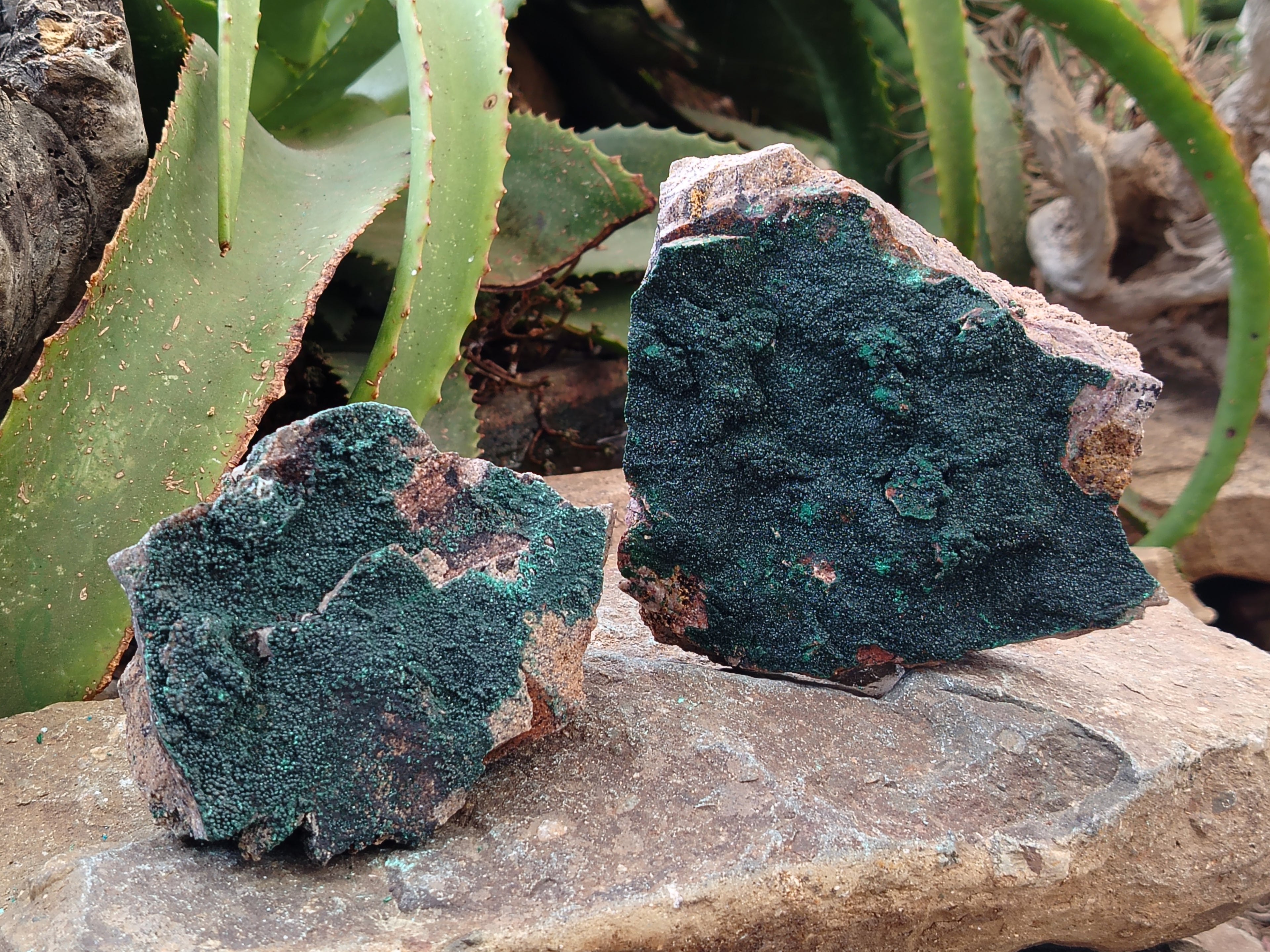 Natural Botryoidal Malachite Specimens x 6 From Congo - Toprock Gemstones and Minerals 