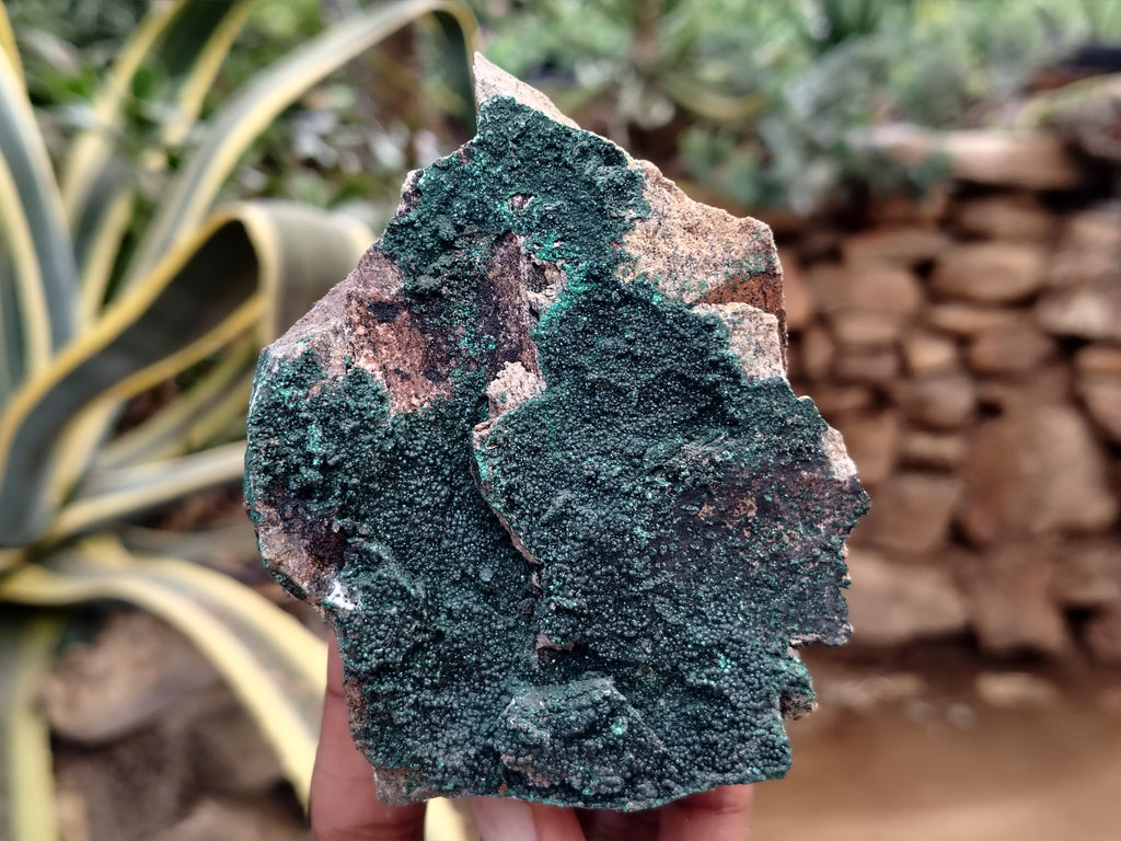 Natural Botryoidal Malachite Specimens x 6 From Congo - Toprock Gemstones and Minerals 