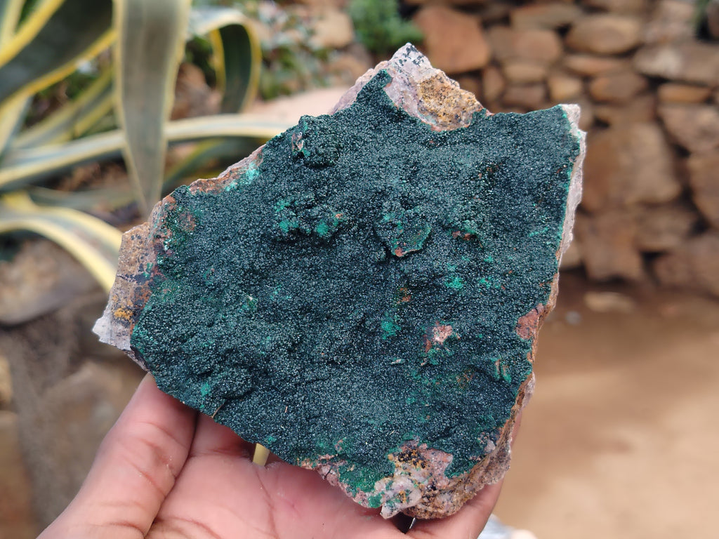 Natural Botryoidal Malachite Specimens x 6 From Congo - Toprock Gemstones and Minerals 