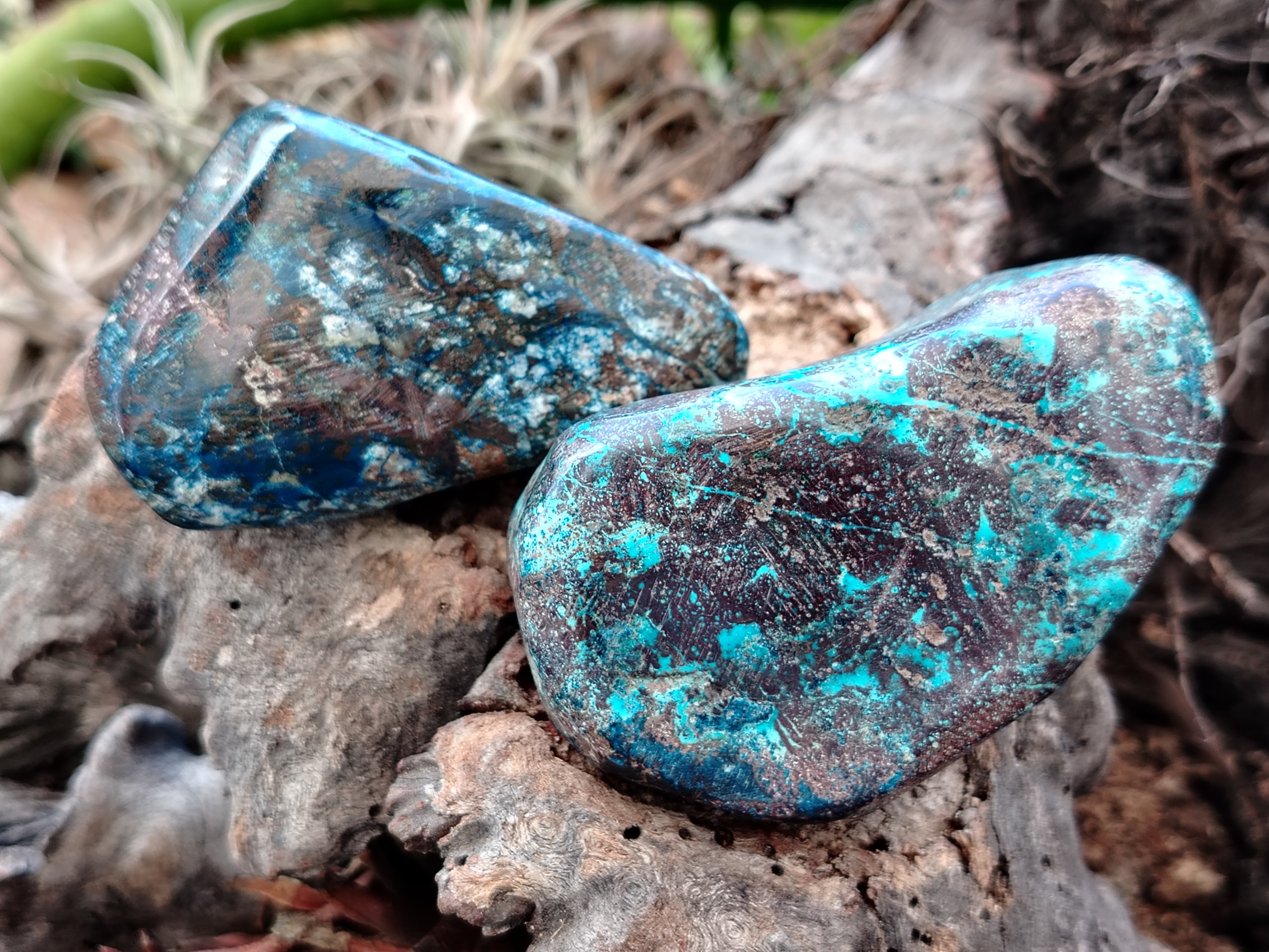 Polished Shattuckite Free Forms x 6 From Congo - Toprock Gemstones and Minerals 