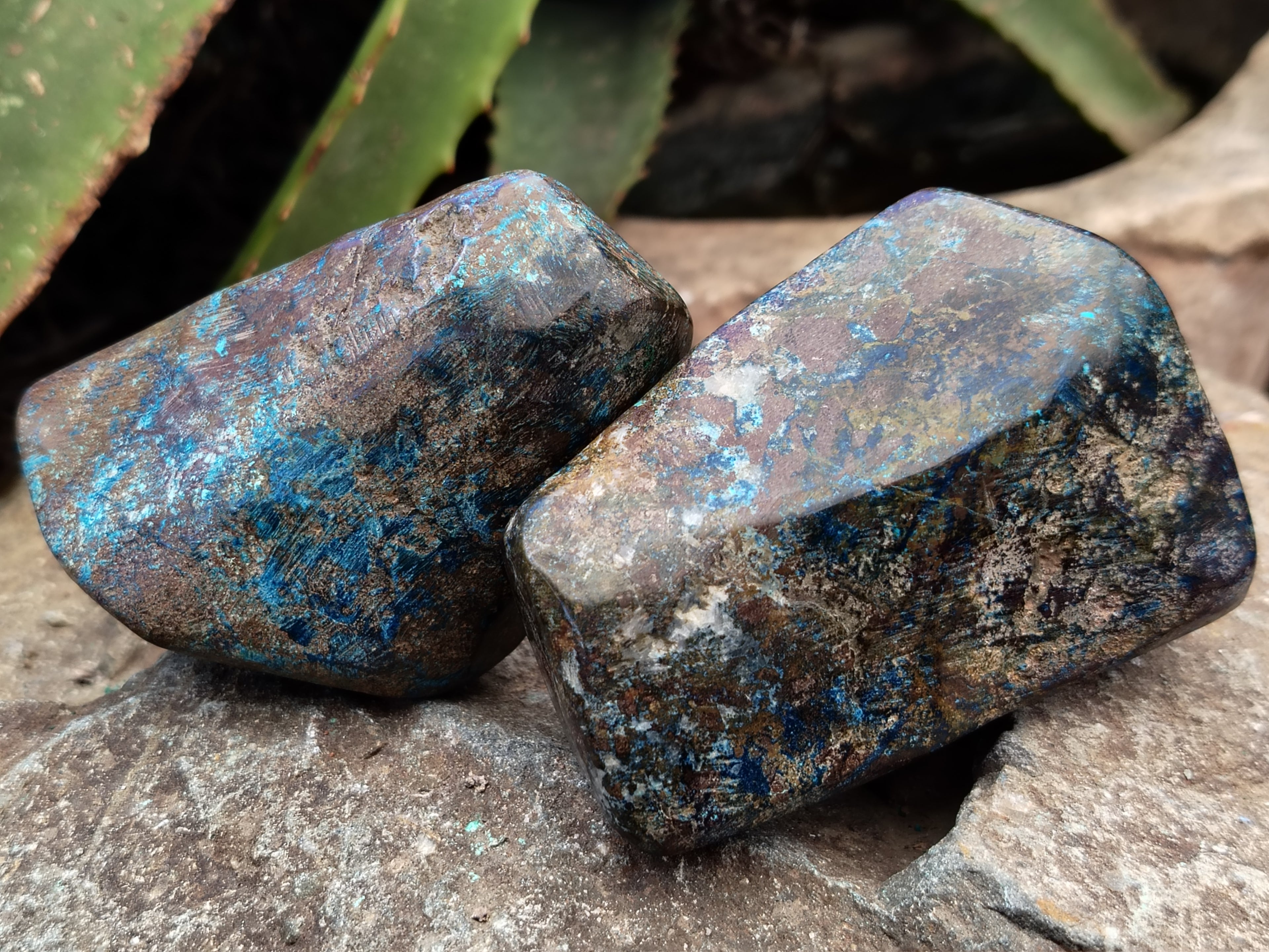 Polished Shattuckite Free Forms x 6 From Congo - Toprock Gemstones and Minerals 