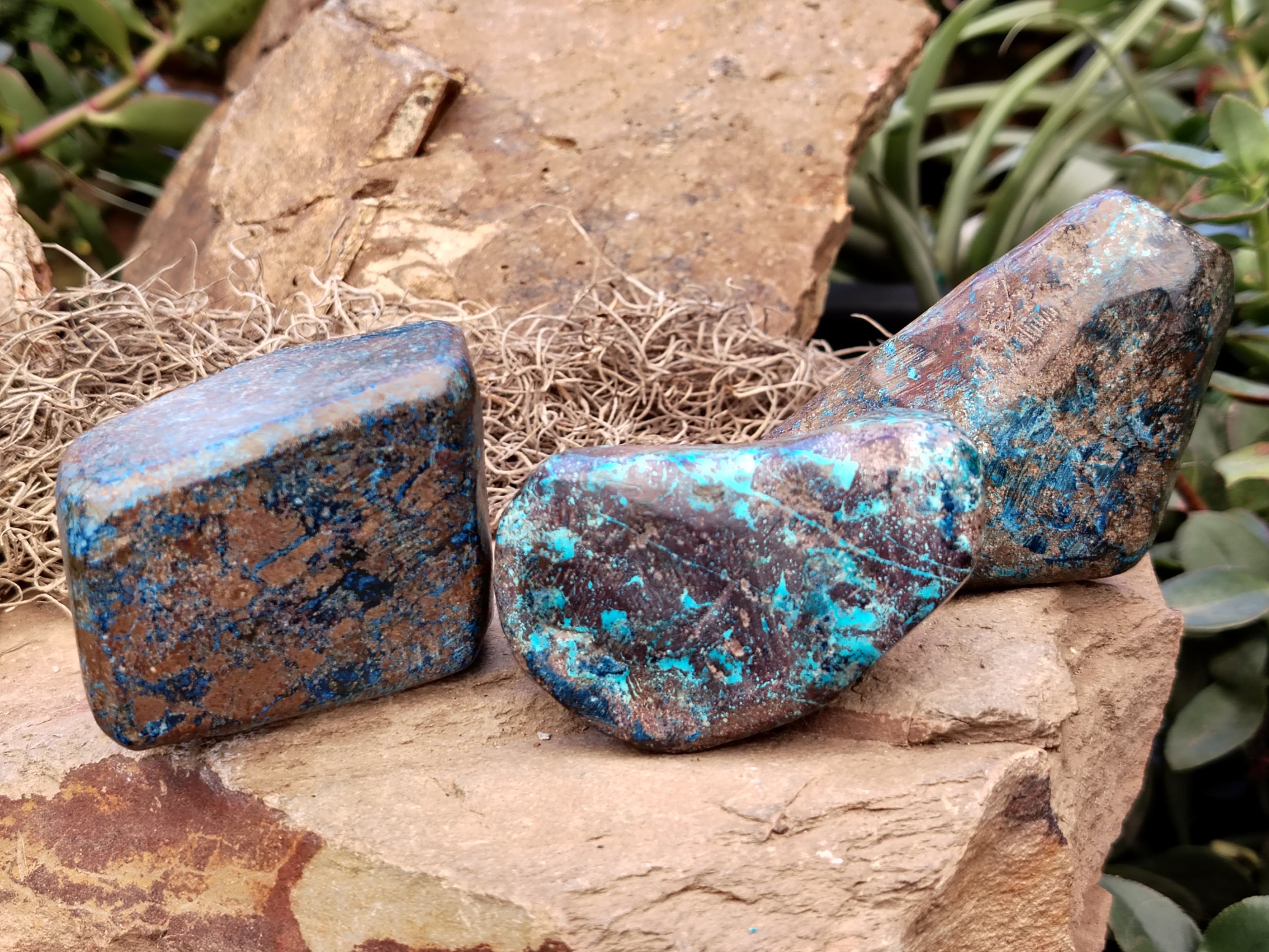 Polished Shattuckite Free Forms x 6 From Congo - Toprock Gemstones and Minerals 