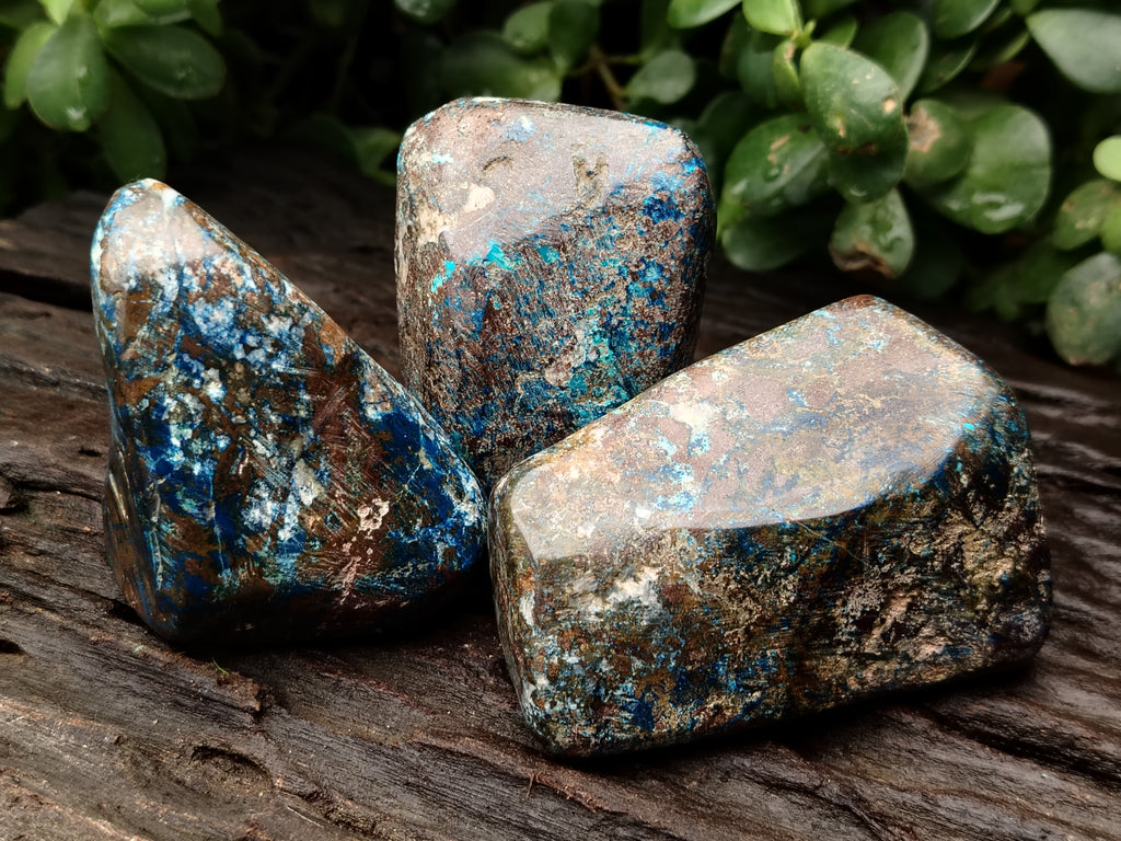 Polished Shattuckite Free Forms x 6 From Congo - Toprock Gemstones and Minerals 