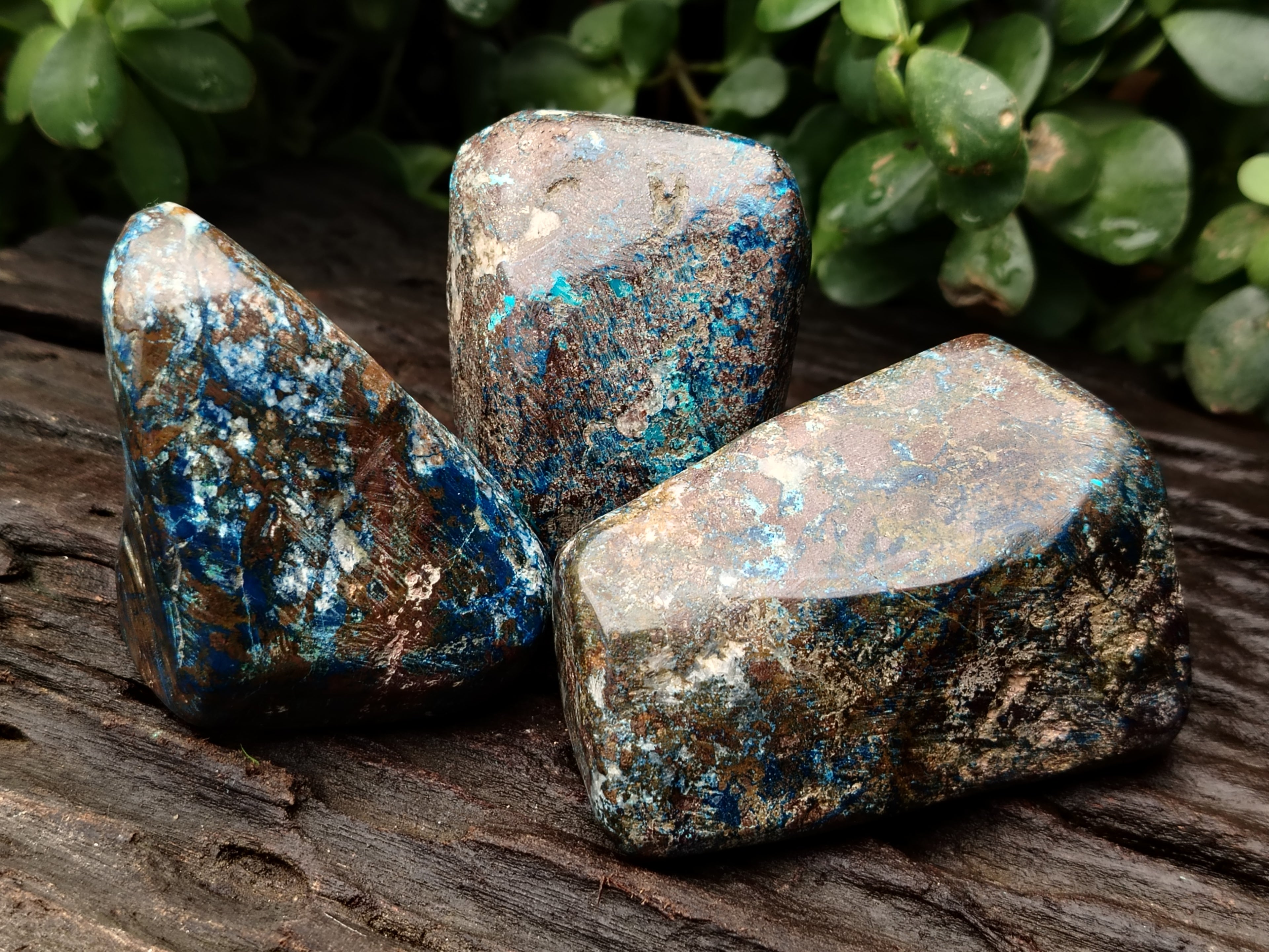 Polished Shattuckite Free Forms x 6 From Congo - Toprock Gemstones and Minerals 