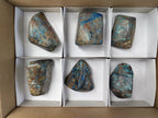 Polished Shattuckite Free Forms x 6 From Congo - Toprock Gemstones and Minerals 