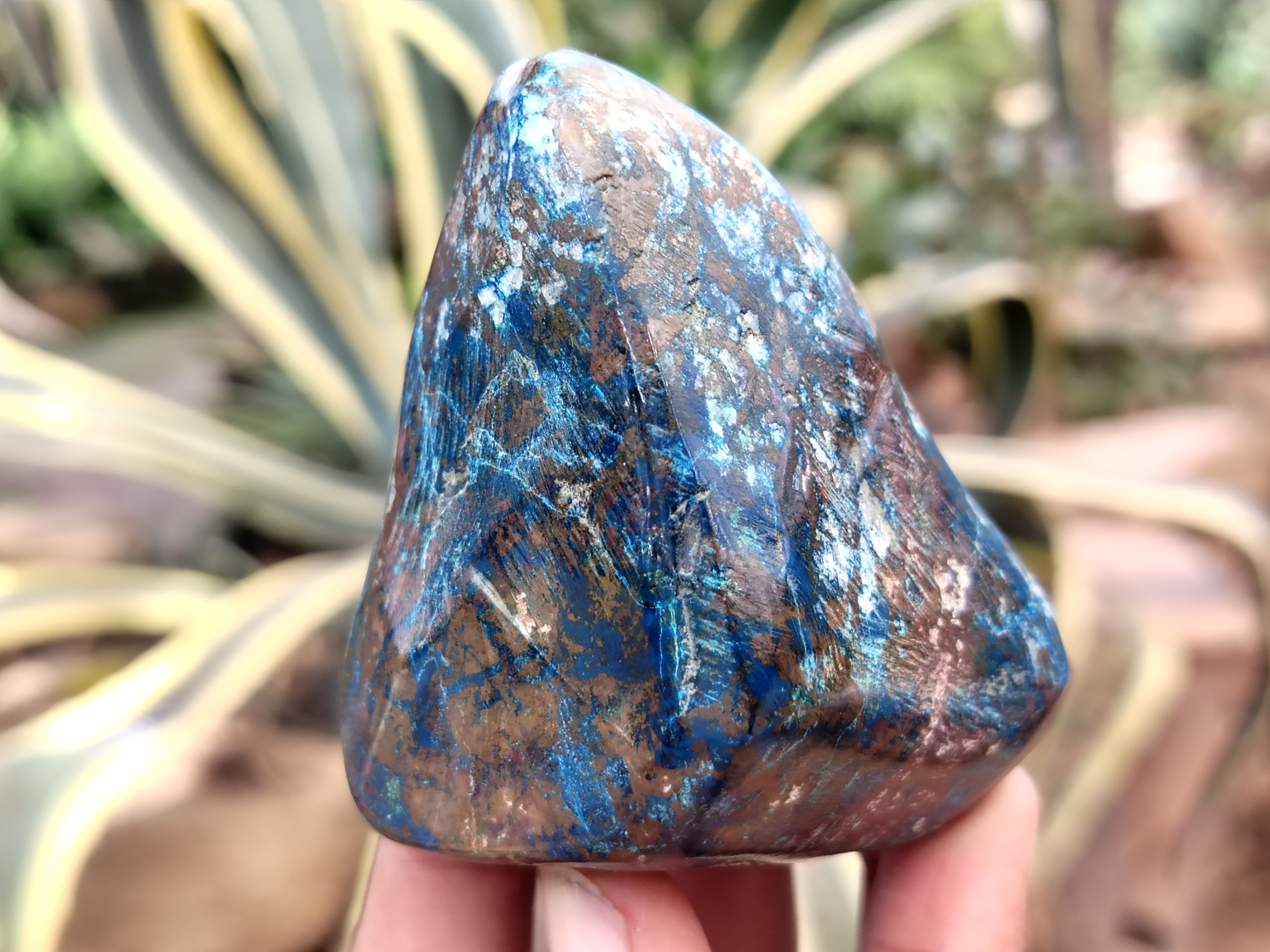 Polished Shattuckite Free Forms x 6 From Congo - Toprock Gemstones and Minerals 