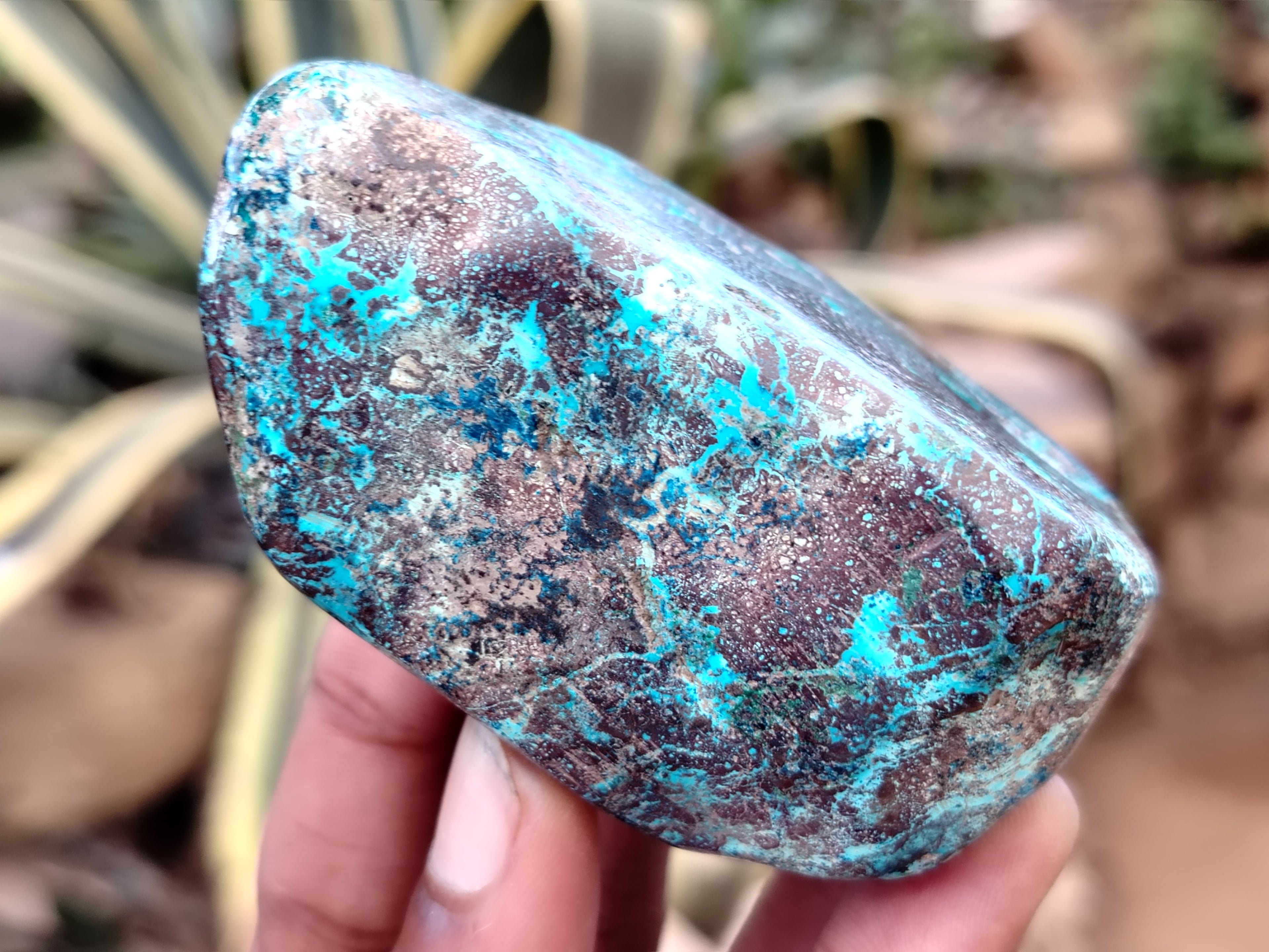 Polished Shattuckite Free Forms x 6 From Congo - Toprock Gemstones and Minerals 