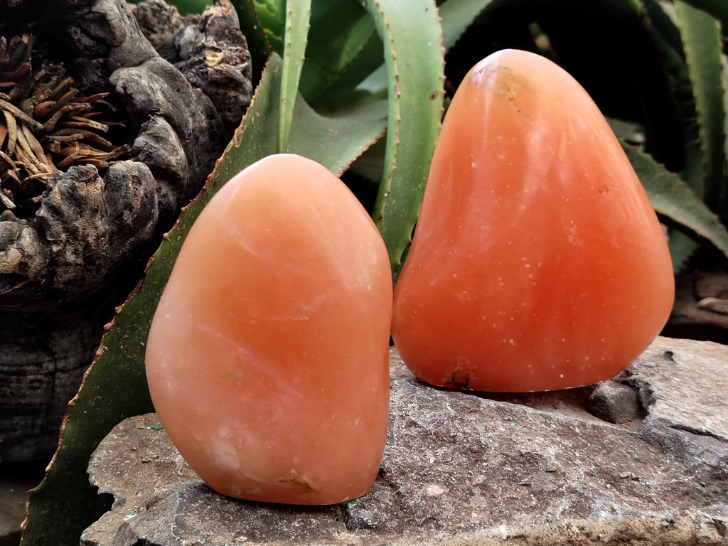 Polished Orange Twist Calcite Standing Free Forms x 2 From Madagascar - Toprock Gemstones and Minerals 