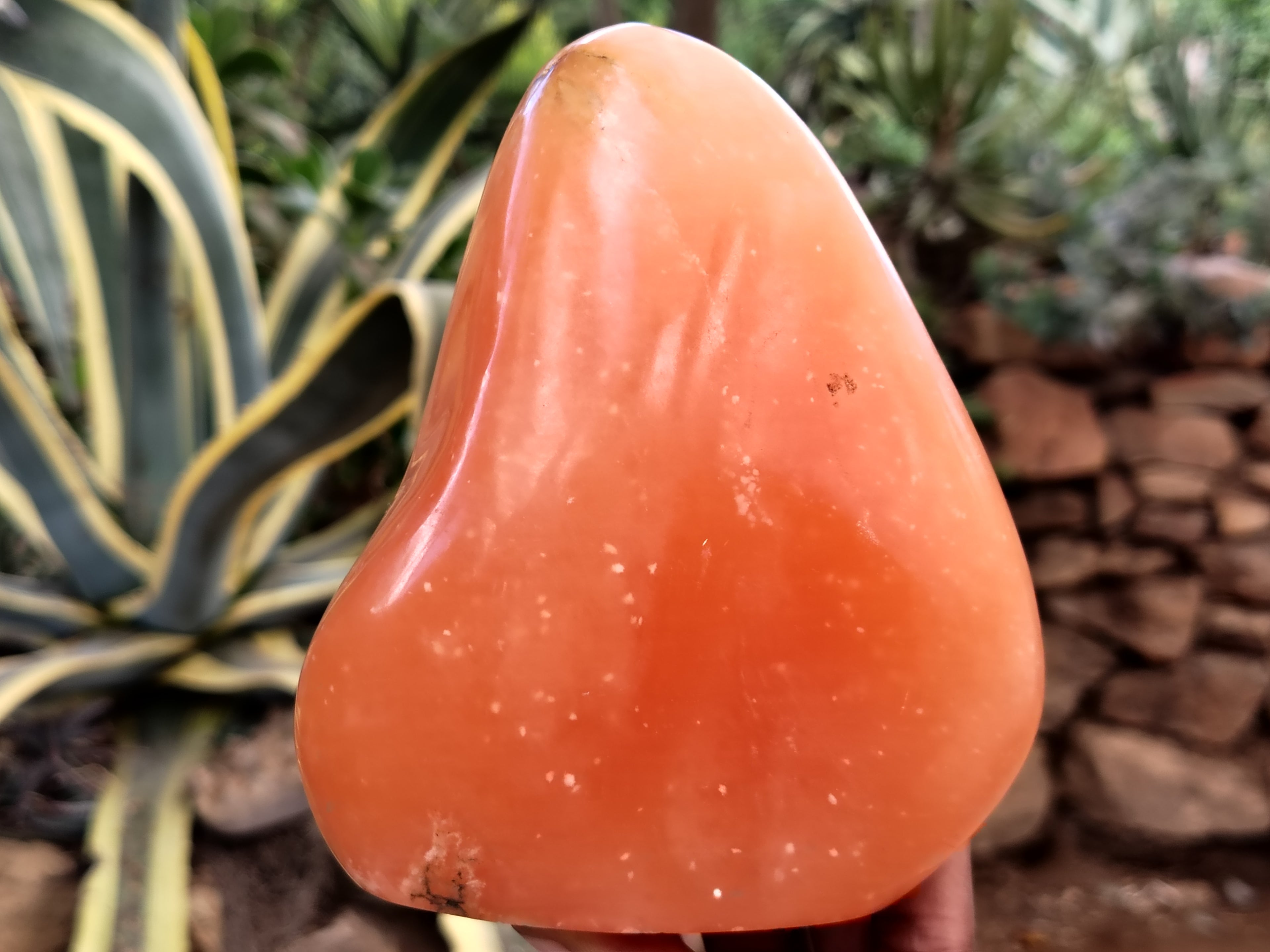Polished Orange Twist Calcite Standing Free Forms x 2 From Madagascar - Toprock Gemstones and Minerals 