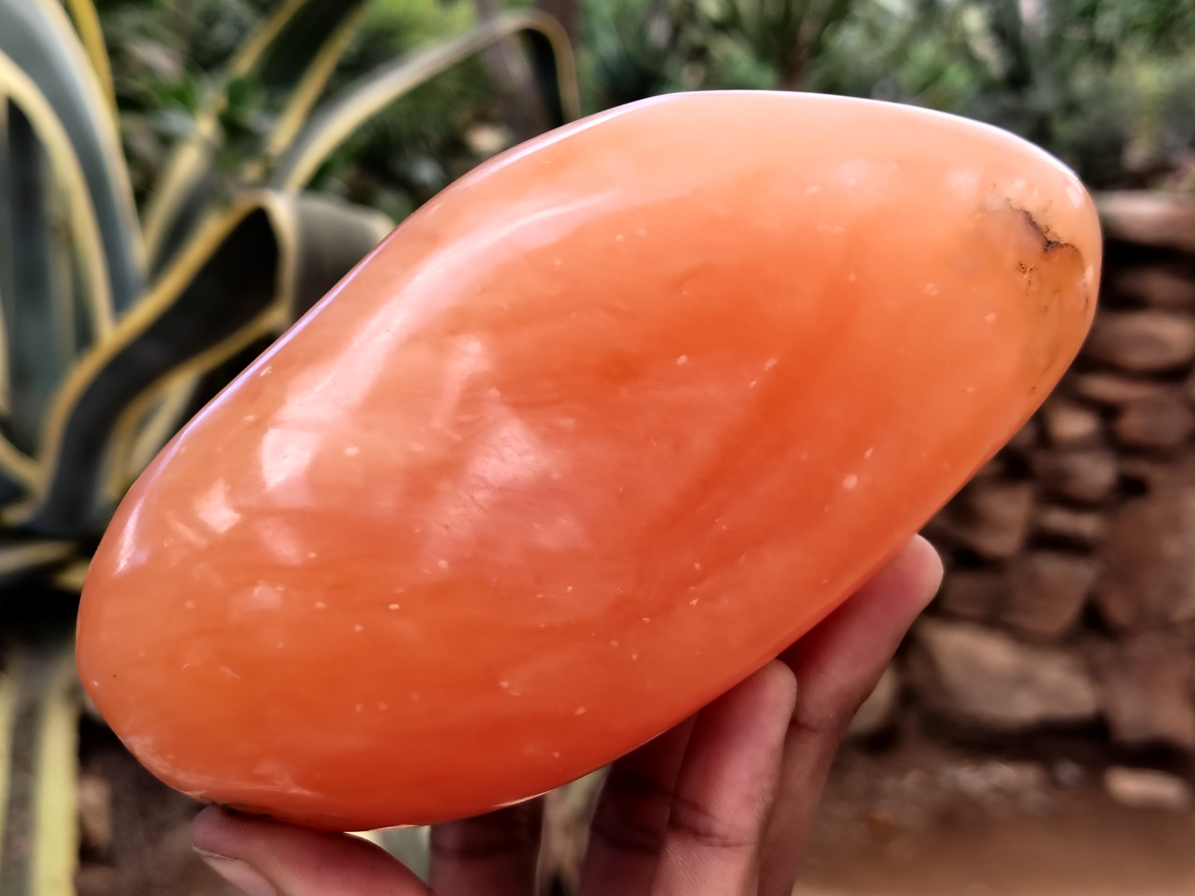 Polished Orange Twist Calcite Standing Free Forms x 2 From Madagascar - Toprock Gemstones and Minerals 