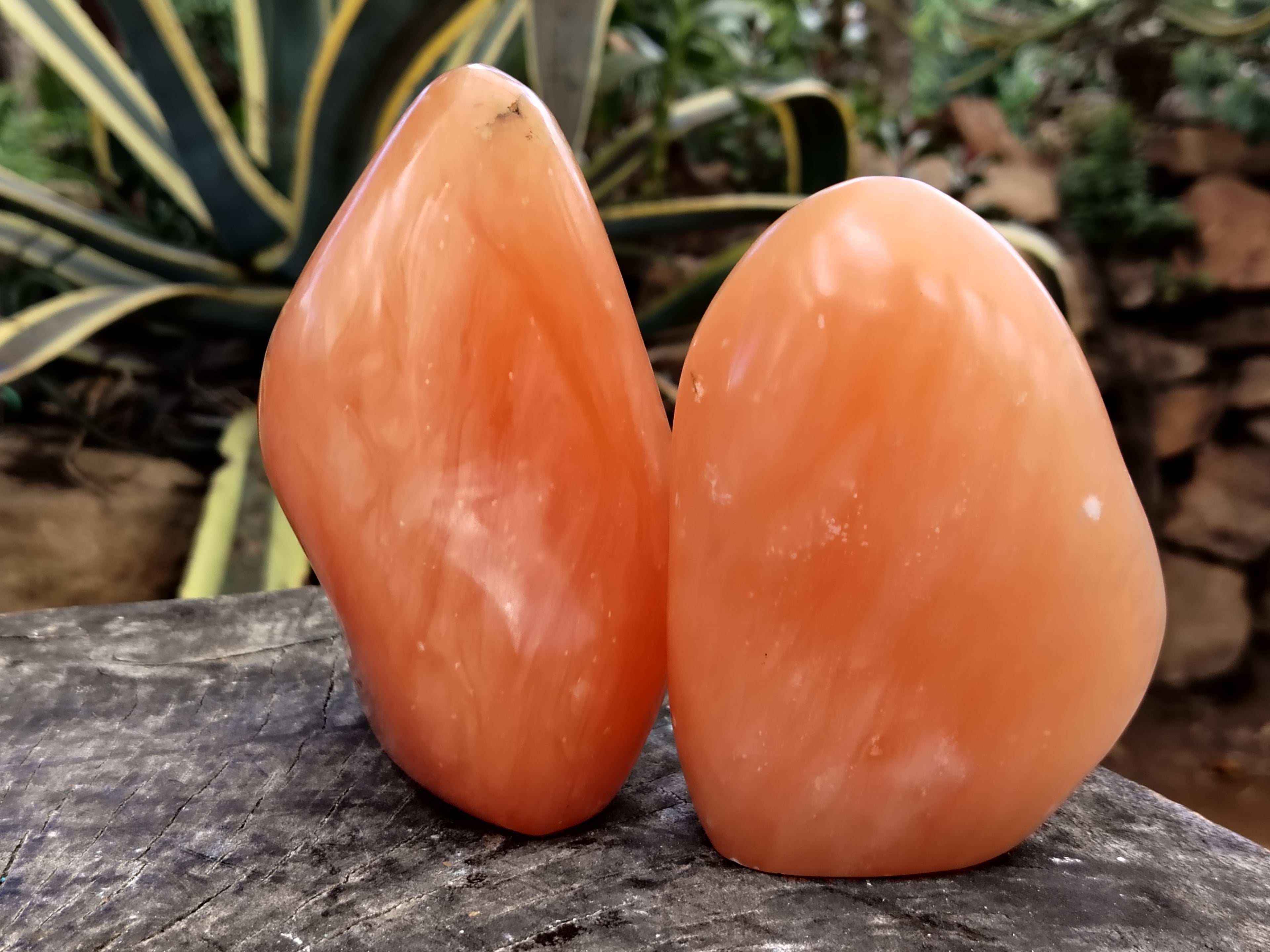 Polished Orange Twist Calcite Standing Free Forms x 2 From Madagascar - Toprock Gemstones and Minerals 