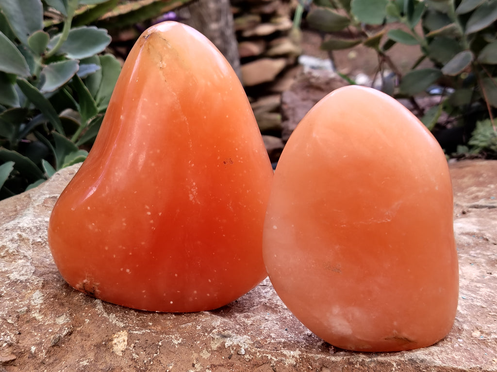 Polished Orange Twist Calcite Standing Free Forms x 2 From Madagascar - Toprock Gemstones and Minerals 