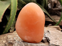 Polished Orange Twist Calcite Standing Free Forms x 2 From Madagascar - Toprock Gemstones and Minerals 