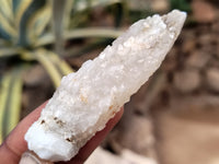 Natural Drusy Quartz Coated Calcite Pseudomorph Specimens x 20 From Alberts Mountain, Lesotho - Toprock Gemstones and Minerals 
