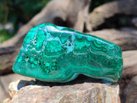 Polished Malacolla Free Forms x 6 From Kalukundi Mine, Congo