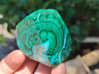 Polished Malacolla Free Forms x 6 From Kalukundi Mine, Congo